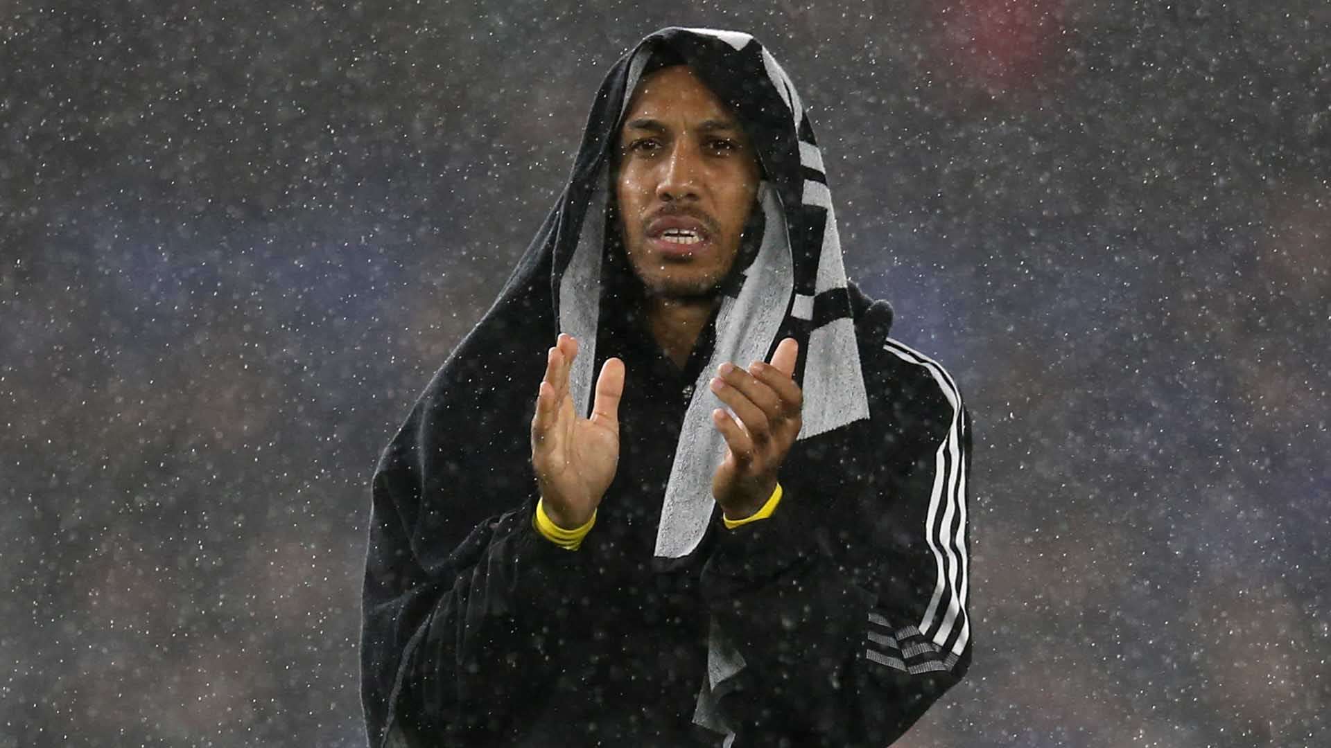 这无疑为比 这无疑为比